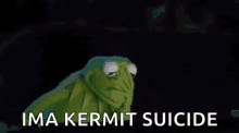 Kermit Kermit The Frog GIF - Kermit Kermit The Frog Frustrated GIFs