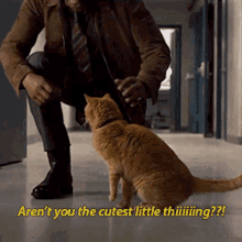 The Cutest Little Thing Nick Fury GIF - The Cutest Little Thing Nick Fury Cat GIFs