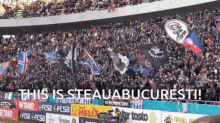 Fcsb Steauabucuresti GIF - Fcsb Steauabucuresti Liga1 GIFs