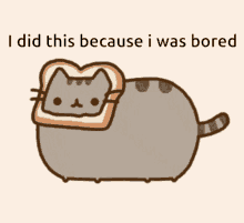 bored pusheen bread cat i did this