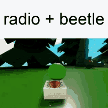 radio ratio beetle roblox kekpublika