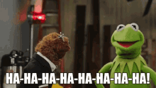 Muppets Laughing GIF - Muppets Laughing Kermit GIFs