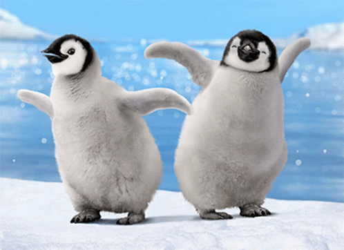 penguins-dancing.gif