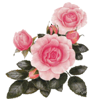 Sparkling Pink Roses Sticker - Sparkling Pink Roses Flowers Stickers