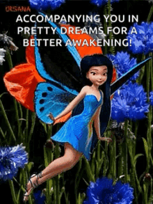 Butterfly Fairy GIF - Butterfly Fairy Pixie GIFs