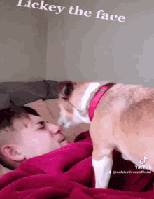 Love Pets GIF - Love Pets Excited GIFs
