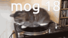 Mog18 Gog18 GIF - Mog18 Mog Gog18 GIFs