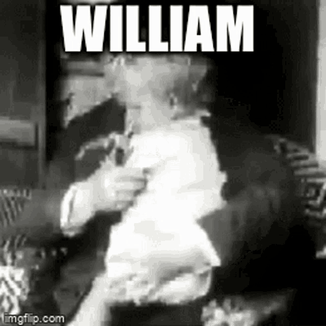 William Howard Taft GIF - William Howard Taft GIFs