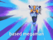 megaman battle network megaman nt warrior megaman exe magnetman exe based