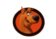 laugh scooby