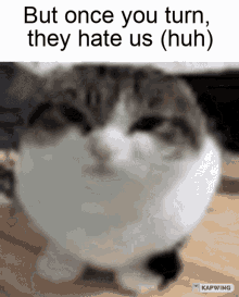 But Once You Turn They Hate Us Huh Enemy GIF - But Once You Turn They Hate Us Huh Enemy GIFs