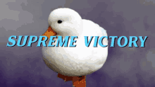 Supreme Victory Duck GIF - Supreme Victory Duck Mortal Kombat GIFs