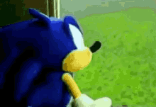 Surto Desespero GIF - Surto Desespero Sonic GIFs
