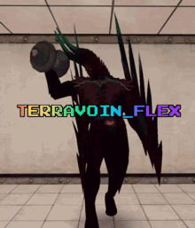 terravoin flex dance