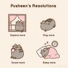 Pusheens Resolutions Cat GIF - Pusheens Resolutions Cat Animated GIFs