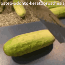 Osteo Odonto Keratoprosthesis Pickle GIF - Osteo Odonto Keratoprosthesis Osteo Odonto GIFs