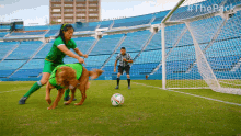 Goal The Pack GIF - Goal The Pack Dog Play GIFs