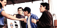 the outsiders pony sodapop steve dally the outsiders pony sodapop steve dally