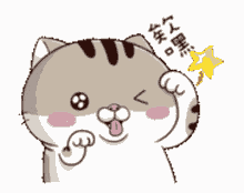 ami fat cat cute wink star
