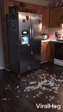 Ice Cubes Coming Out Viralhog GIF - Ice Cubes Coming Out Viralhog Ice Cubes All Over The Floor GIFs