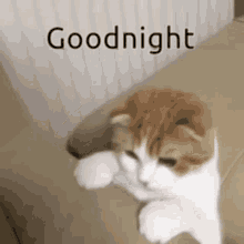 Goodnight Meme Gifs Tenor