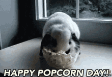 Happy Popcorn Day GIF - Bunny Popcorn Day Popcorn GIFs