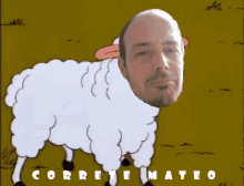Mateo Correte GIF - Mateo Correte Corretemateo GIFs