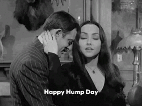 Happy Hump Day Wednesday GIF - Happy Hump Day Hump Day Wednesday - Discover  & Share GIFs