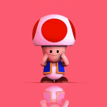 mario mushroom toad