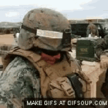 Military Turtle GIF - Military Army Turtle GIFs