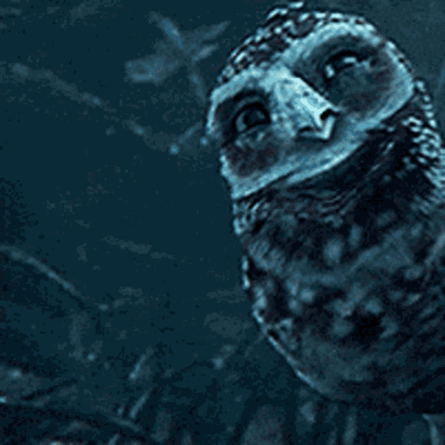 Lotg Owls GIF - Lotg Owls Snow - Descubre & Comparte GIFs