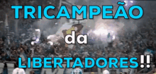 Grêmio / Tricampeão Da Libertadores / Campeão / Futebol GIF - Gremio Championship Football GIFs