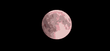 "Blood Moon" Eclipse Last Night GIF - Science Moon Eclipse GIFs