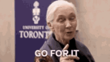 Go For It GIF - Go For It Go GIFs