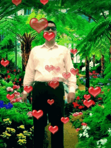 david pujols
