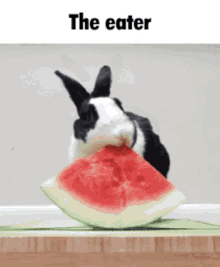 Watermelon Eat GIF - Watermelon Melon Eat GIFs