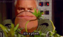 Jack O Neill Plant GIF - Jack O Neill Plant Magnifying GIFs