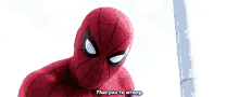 Spider Man That Youre Wrong GIF - Spider Man That Youre Wrong Youre Wrong GIFs