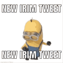 Irim Tweet GIF - Irim Tweet GIFs