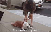 Please Carry Me. GIF - Carry Me Please Carry Me Bulldog GIFs