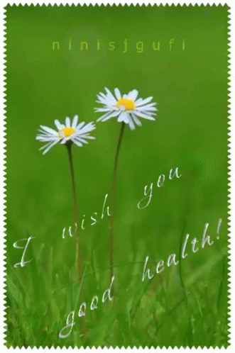 Wish You Good Health Daisy GIF - Wish You Good Health Daisy Ninisjgufi GIFs