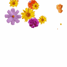 Spring Flowers GIFs | Tenor