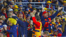 fans cheer adelaide crows clapping