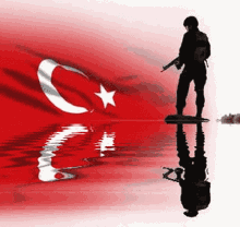 Turk Turkish GIF - Turk Turkish GIFs