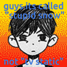 Stupid Snow Static GIF - Stupid Snow Snow Static GIFs