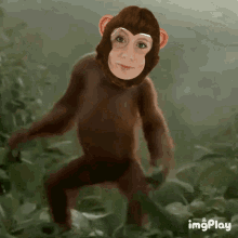 Dance Monkey GIF - Dance Monkey 88erika GIFs