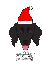 Merry Christmas Happy Holidays Sticker - Merry Christmas Happy Holidays Christmas Dog Stickers