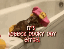 Bath Rubber Ducky Day GIF - Bath Rubber Ducky Day Its Rubber Ducky Day GIFs