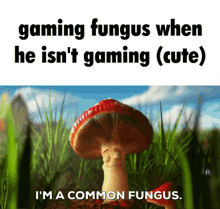 the gaming fungus cute mushroom fungus gaming
