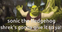 Sonic Movie Shreks Gonna Give It To You GIF - Sonic Movie Shreks Gonna Give It To You GIFs